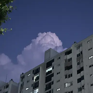 Profile image of 유지민