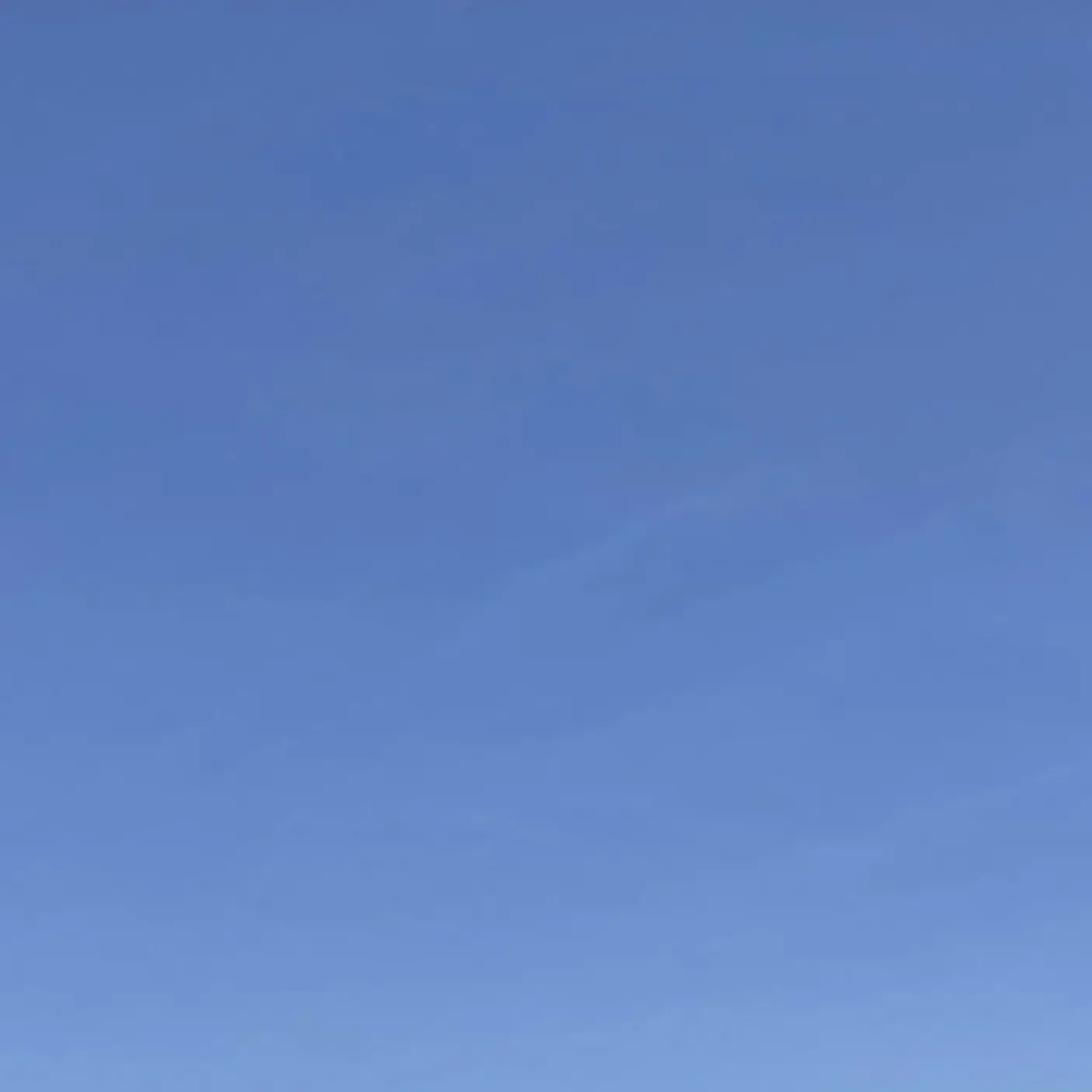 BronzeSpicy5271의 幼馴染の愛が重い！