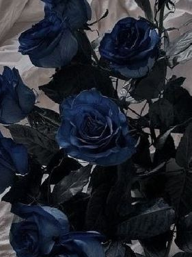 수호신 대표 이미지