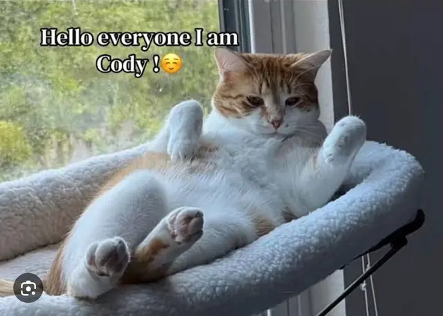Profile image of Cody