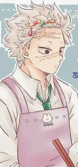 Profile image of 시나즈가와 사네미