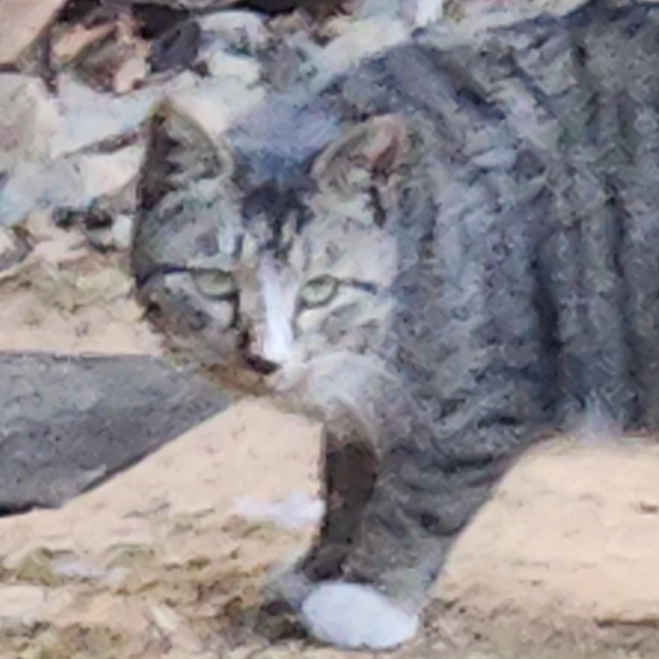 냥이
