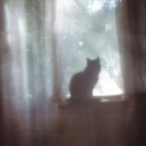 PlaidRazor6836의 ジェイク