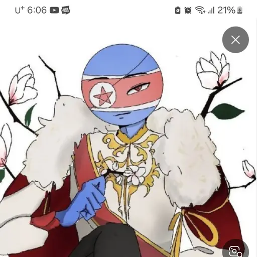 bsjh11의 북한