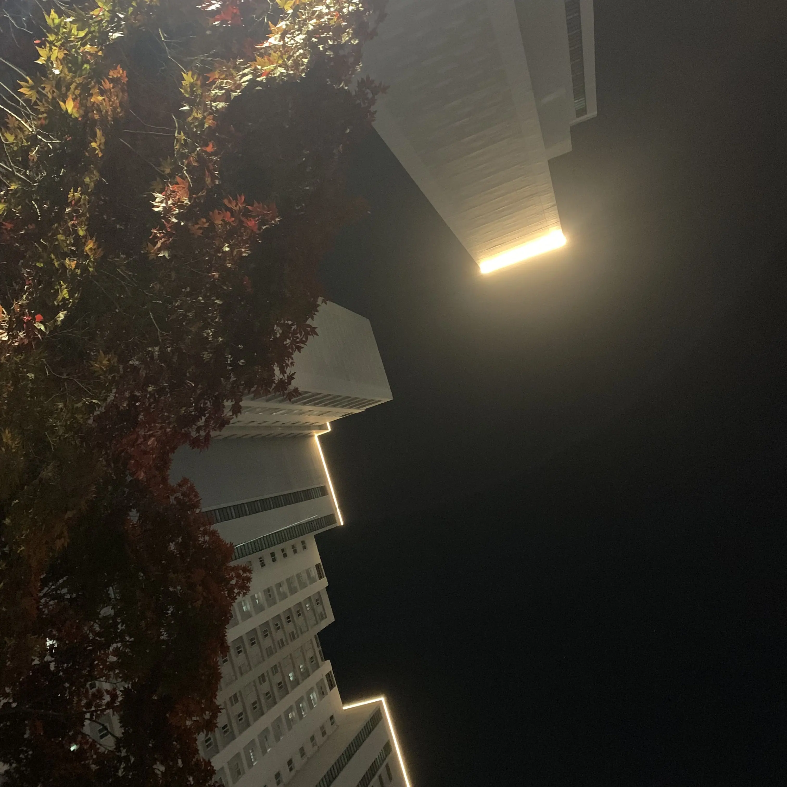 Heyyyyyyyyyyyyyy_y의 늦잠