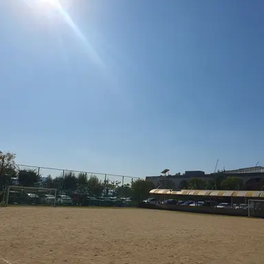 Profile image of 공룡