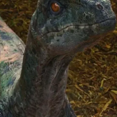 Profile image of Delta