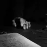 Profile image of 권준서