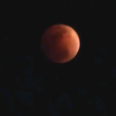 Profile image of 늑대