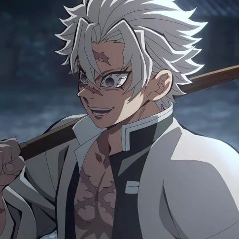 시나즈가와 사네미