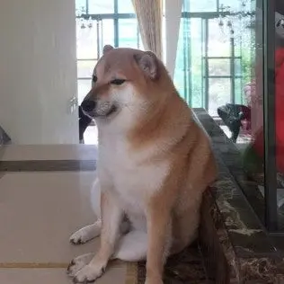 Profile image of 여우