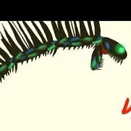 Profile image of 스피노 비스트