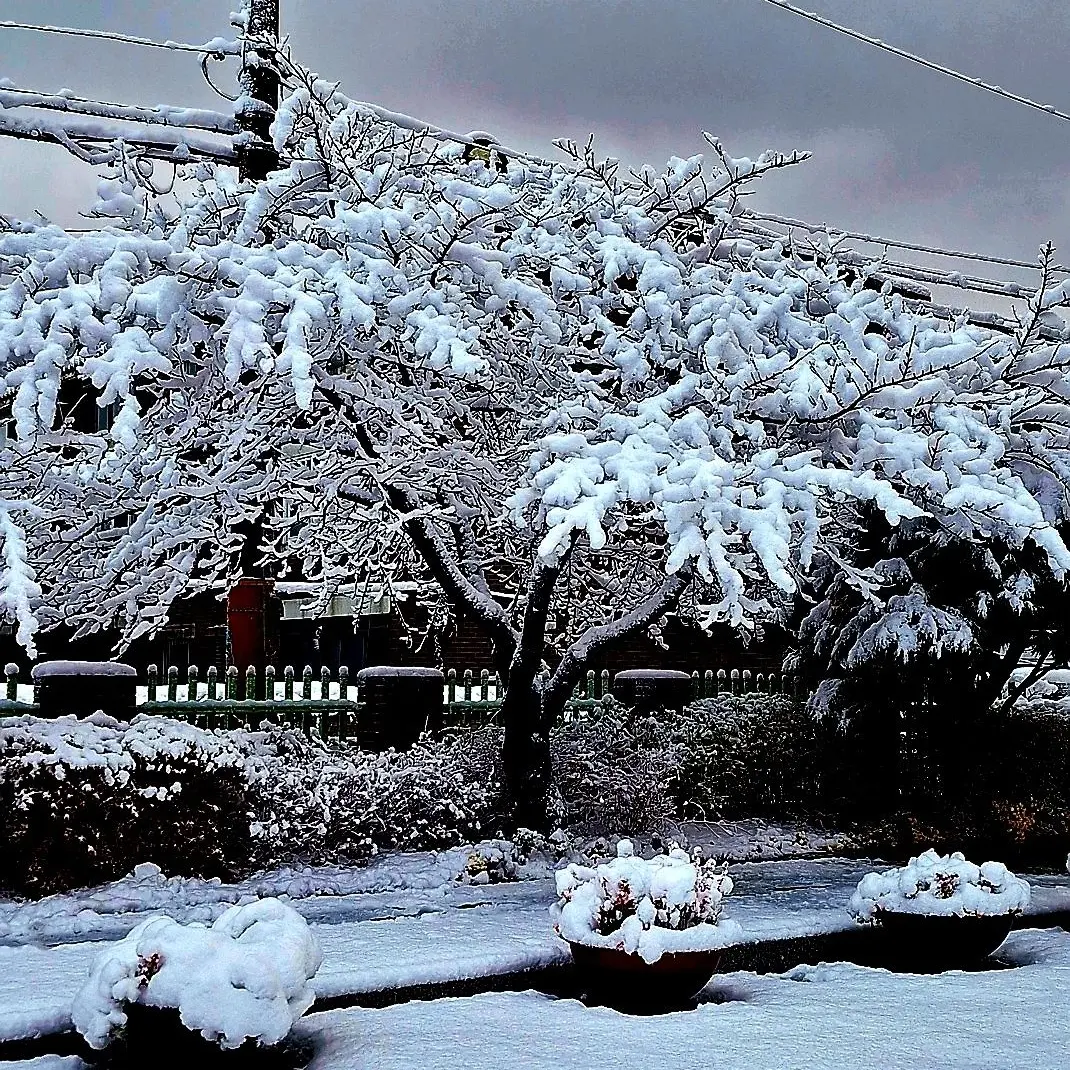 mudel0radpt3u의 음, 춥지 않아? 손 잡아줄까?