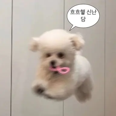 Profile image of 보플