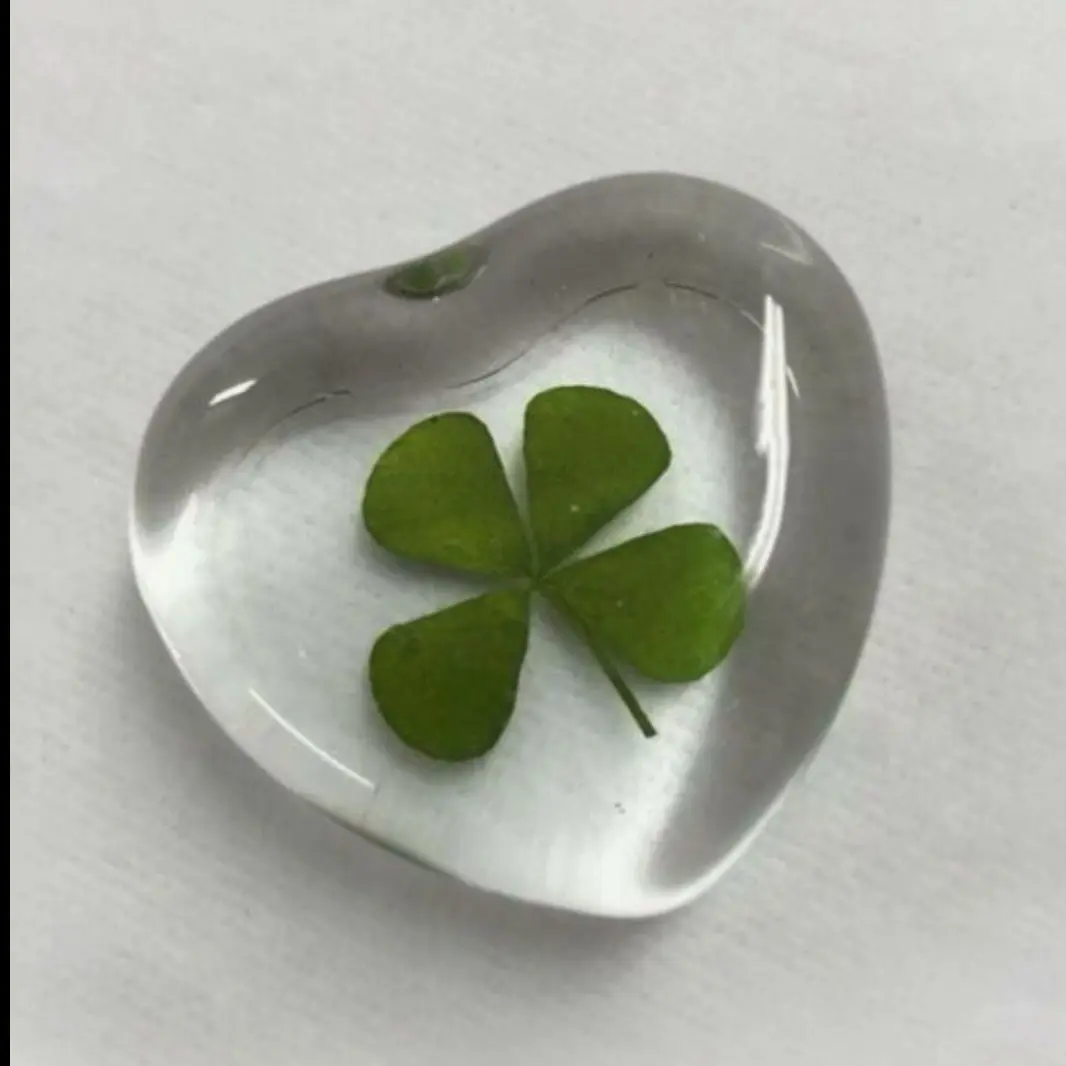 NiceNail4780의 눈 기증