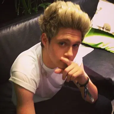 Profile image of Niall Horan