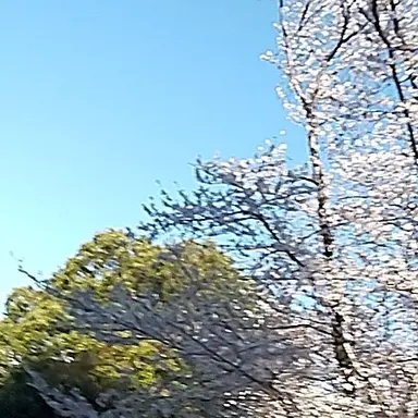 Profile image of 佐藤さん  スタッフ