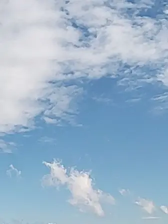 BitingSkate4684의 最推しが先輩になりました？！