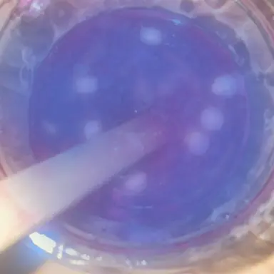 Profile image of 太智