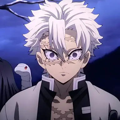 Profile image of 시나즈가와 사네미