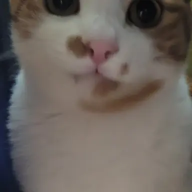 Profile image of 콘솔