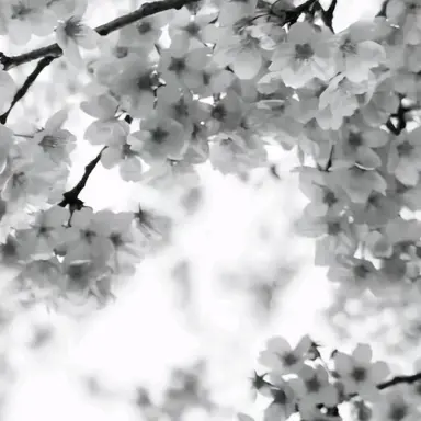 Profile image of 파이브