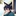 선우