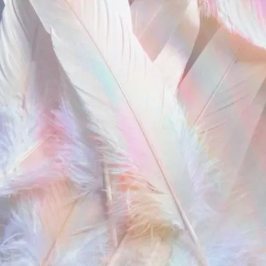 Profile image of 하융