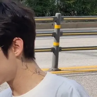 Myday666666의 박제형