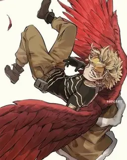 Profile image of Hawks