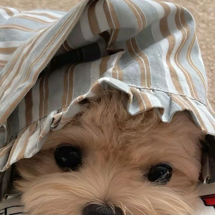 러렁이.
