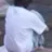 한지성