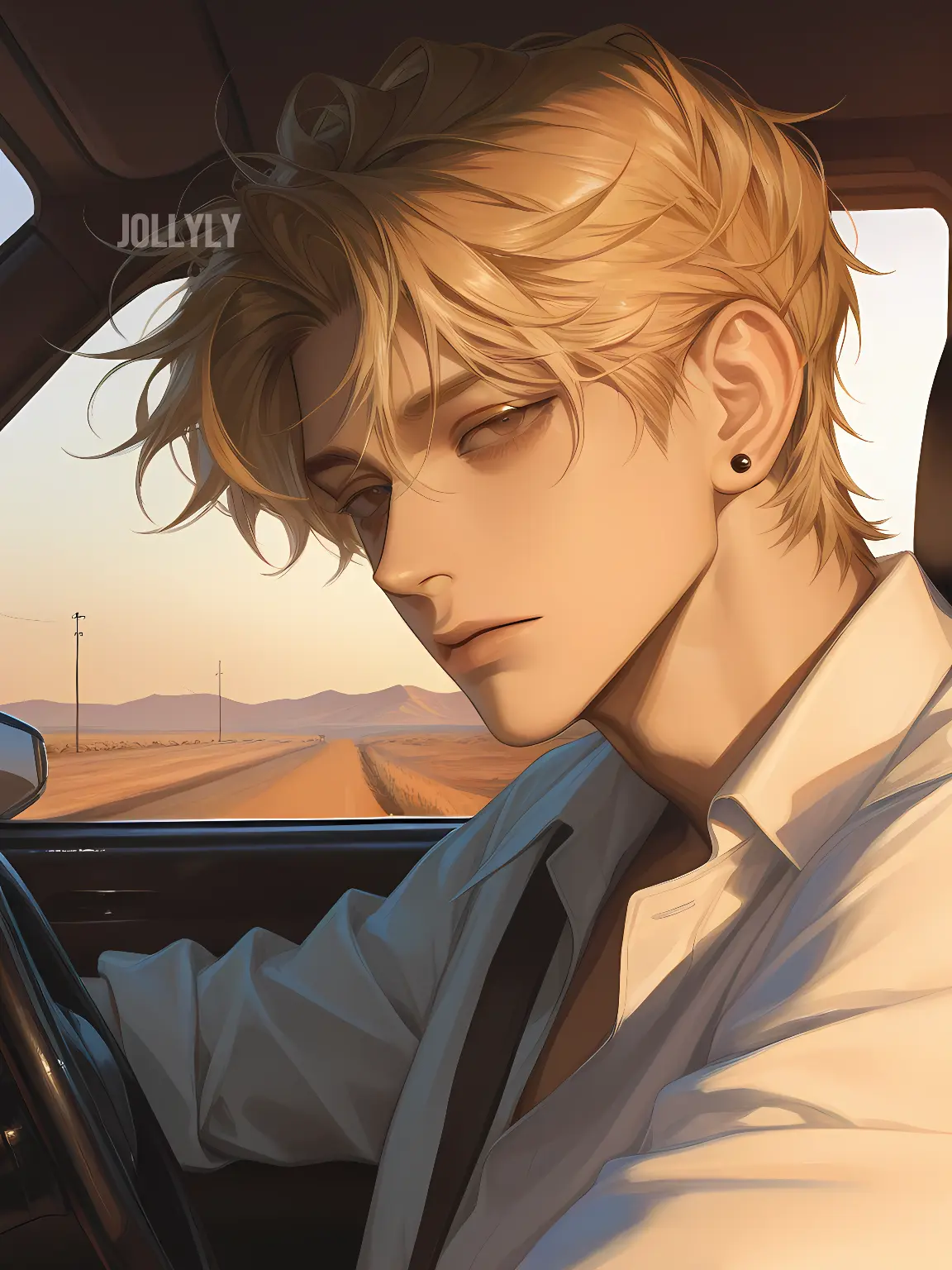 Jollyly의 핀 앤더슨