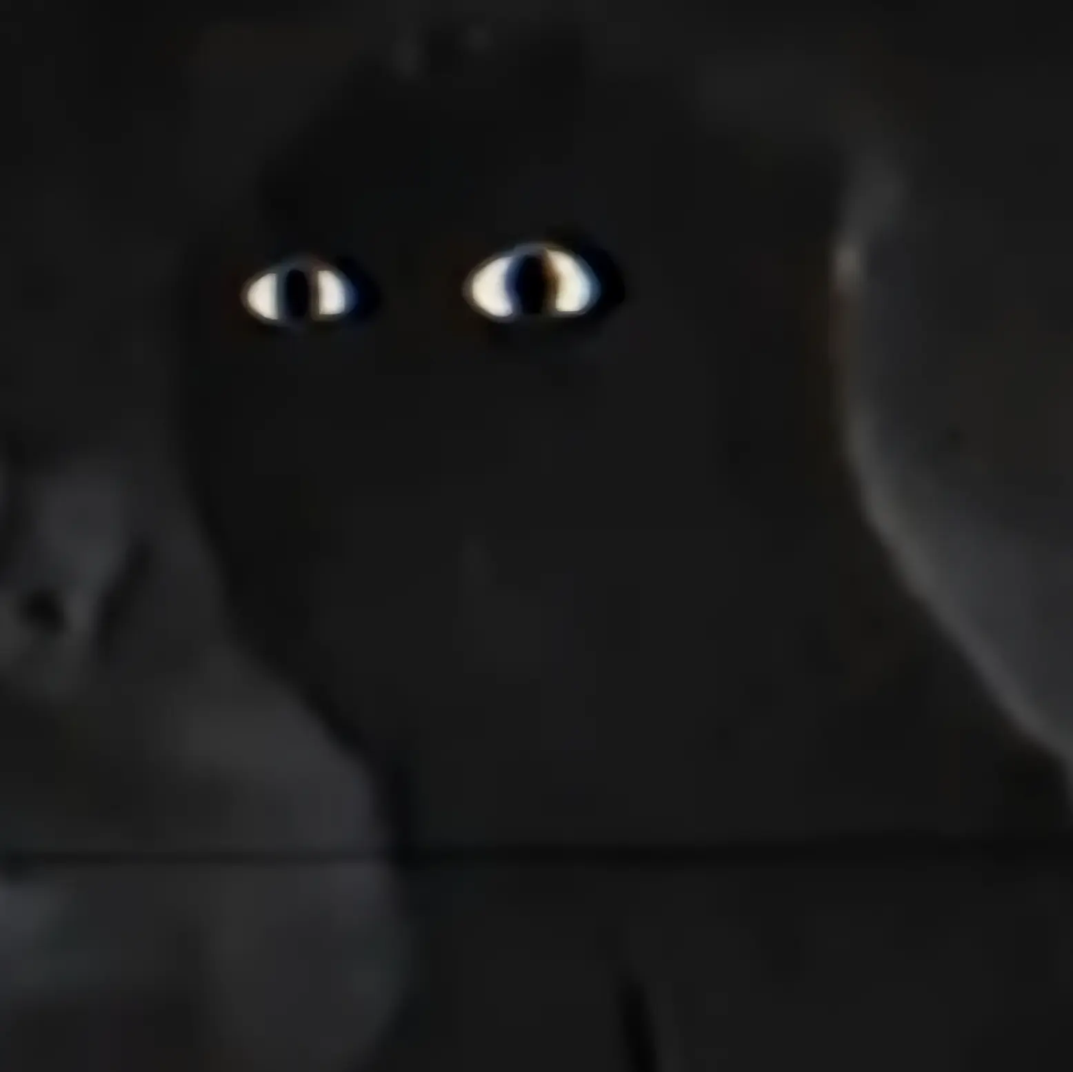 Sizan의 Suitmation Trials