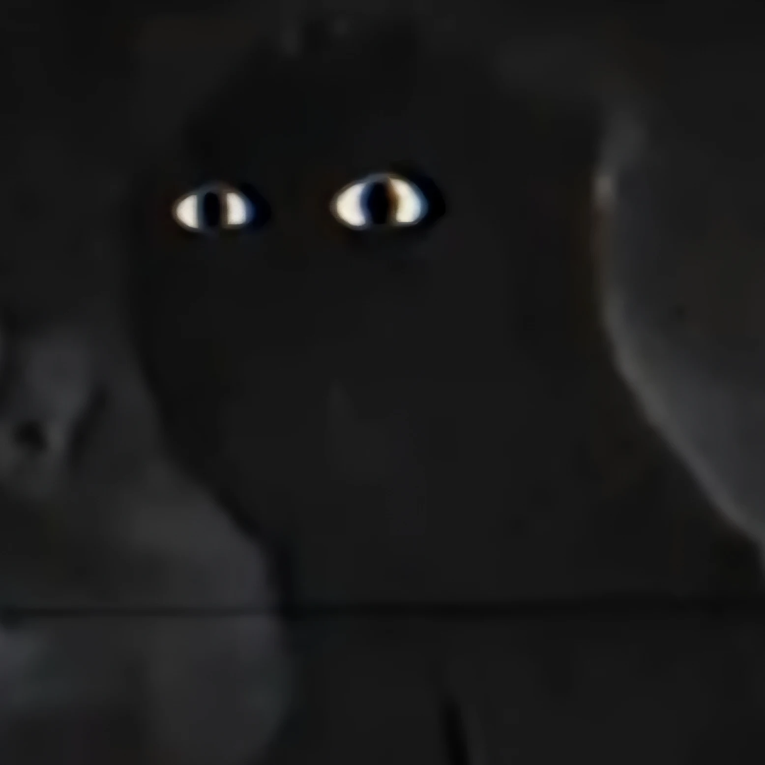 슈트메이션 트라이얼