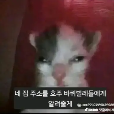 Profile image of 고앵이