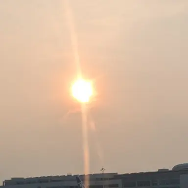 Profile image of 岡本信彦