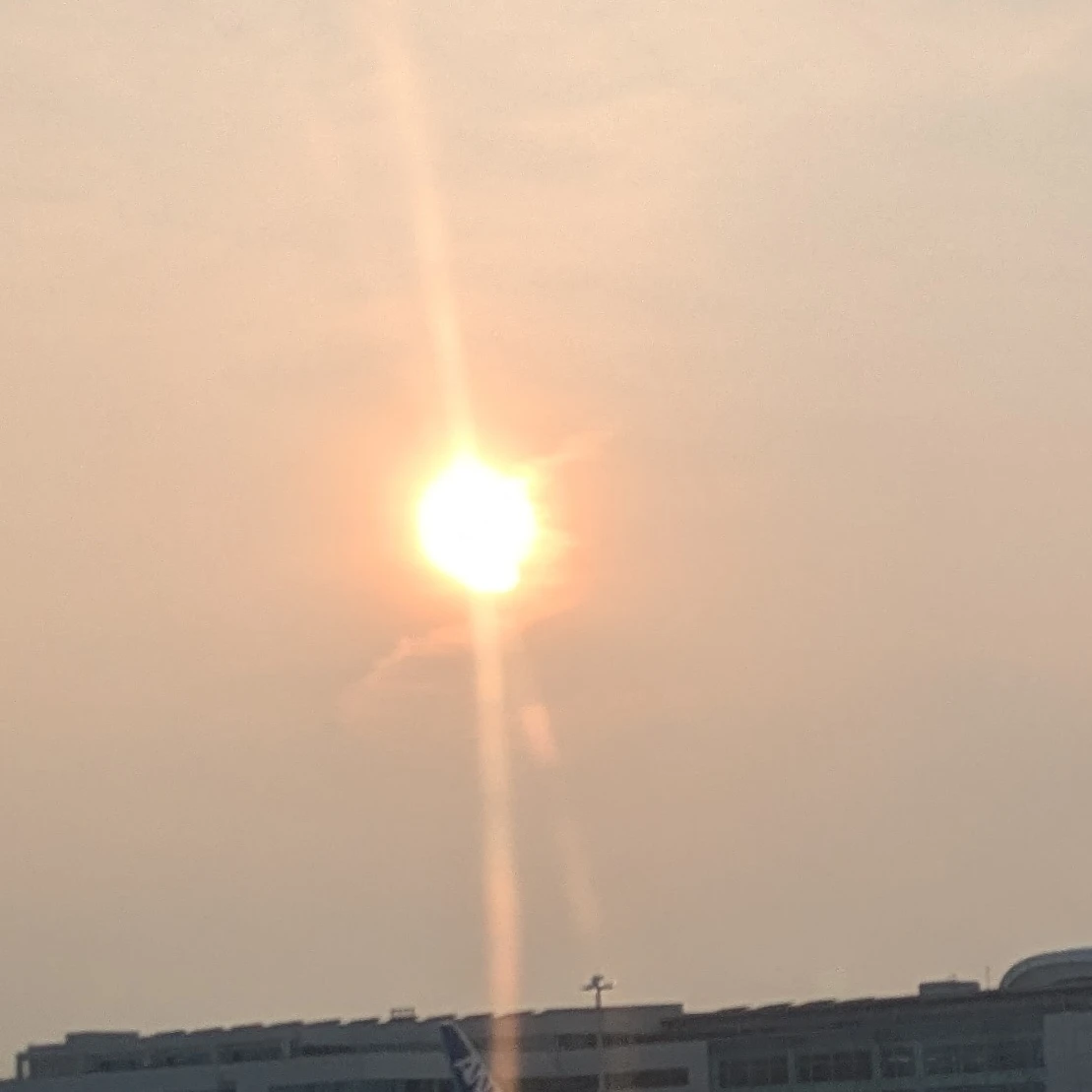 岡本信彦