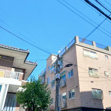Profile image of 티푸