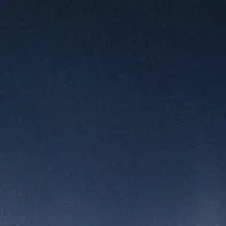 Nothings의 그들