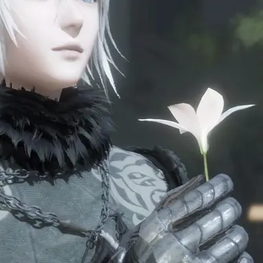 Profile image of ニーア