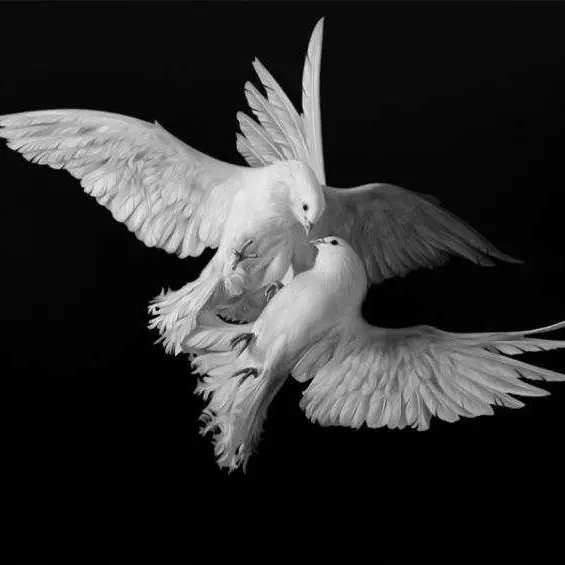 Godungoa의 비밀이나비밀이아니고진실이나진실이아닌