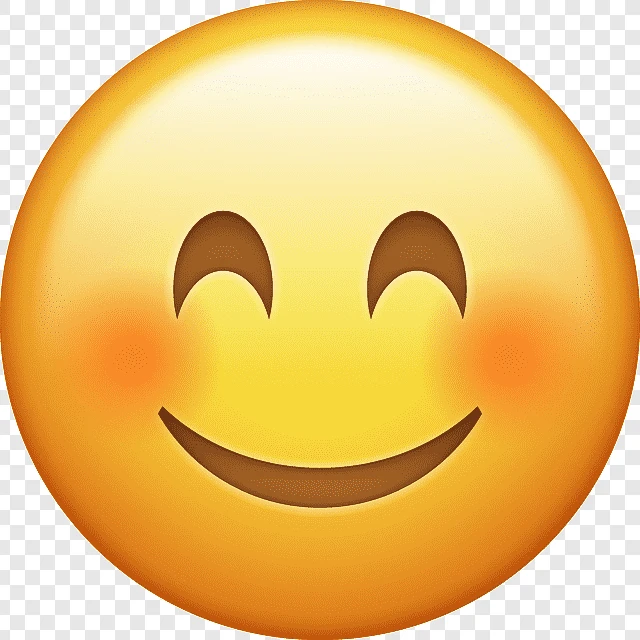 홍지수