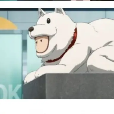 Profile image of 번견맨