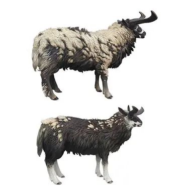 Profile image of Woolhorns