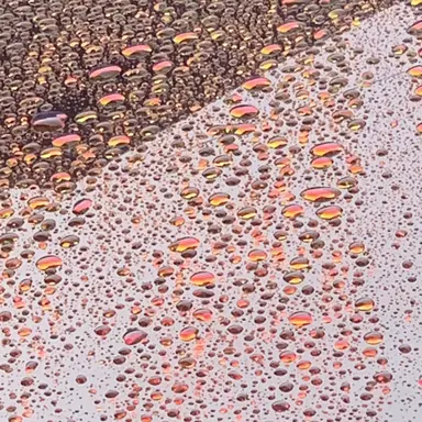 Profile image of 선생님or쌤