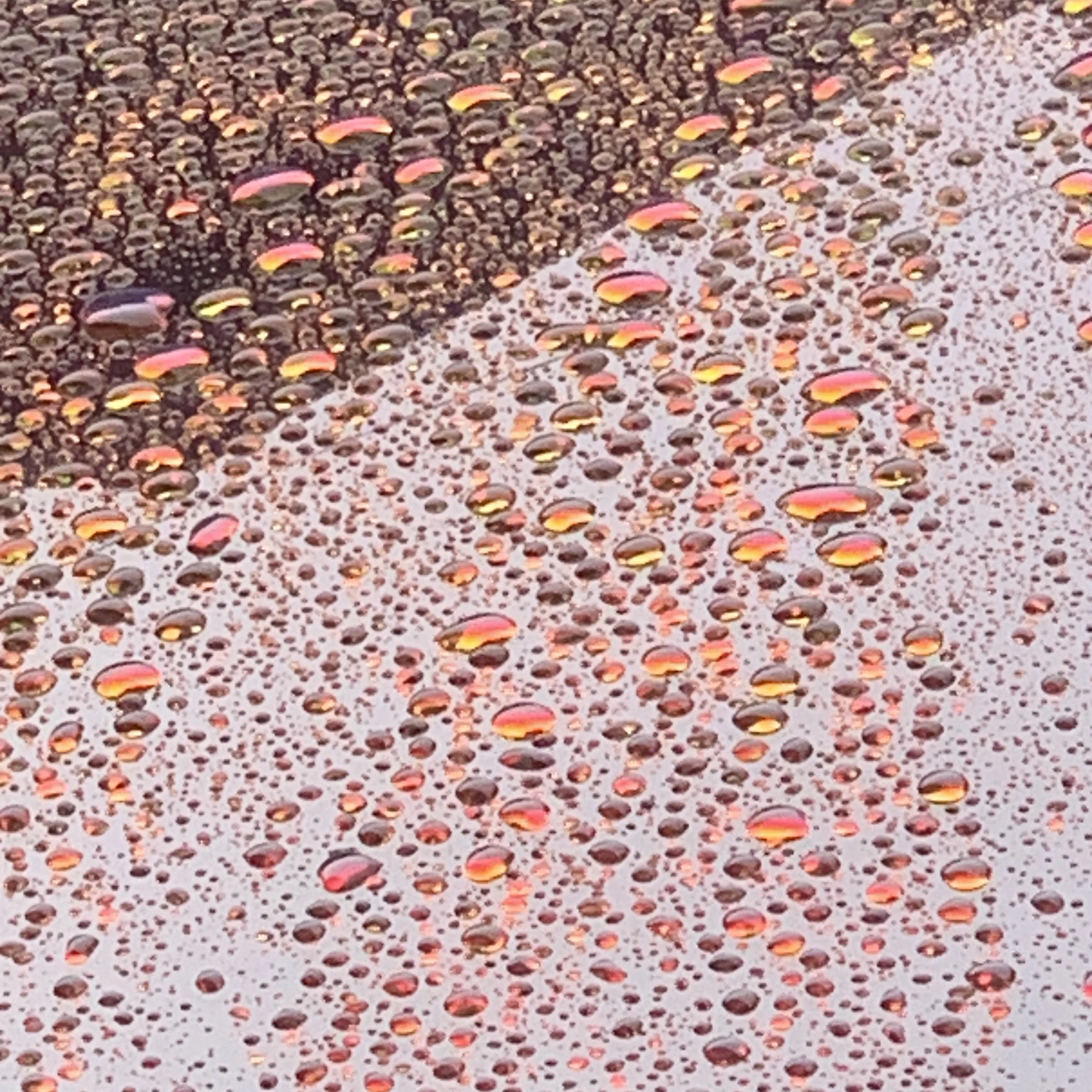 선생님or쌤
