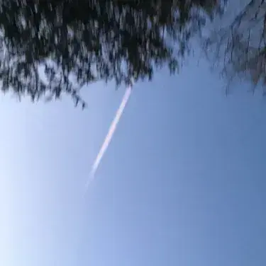 IdealCloak0833의 Create your own story