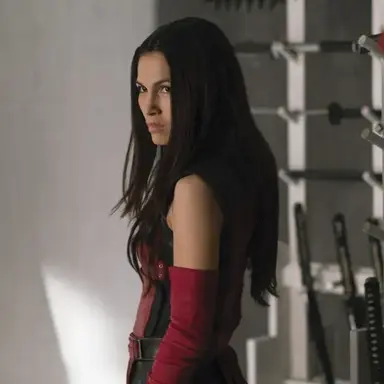 Profile image of Elektra