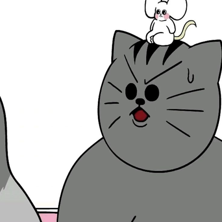 땅땅이🐱 대표 이미지